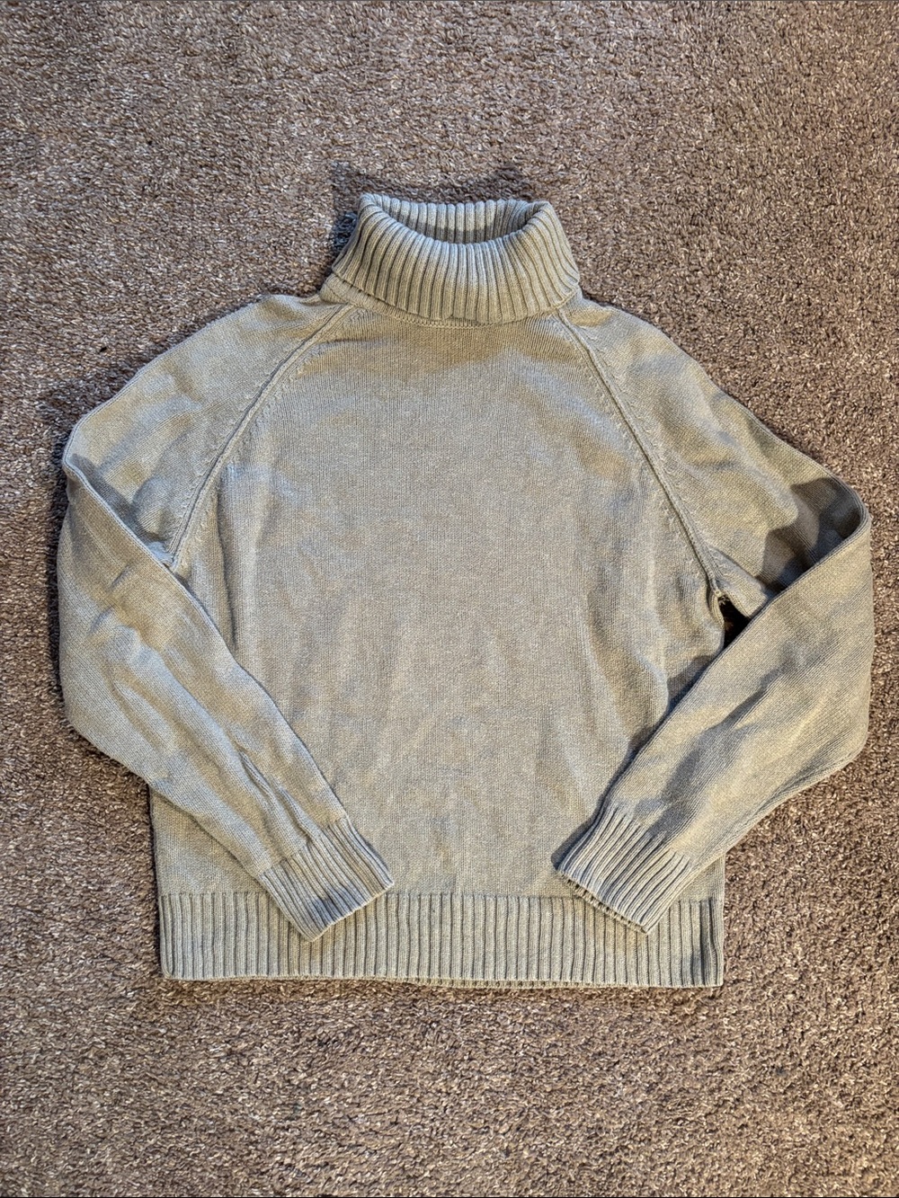 Jeanne Pierre Turtleneck Sweater